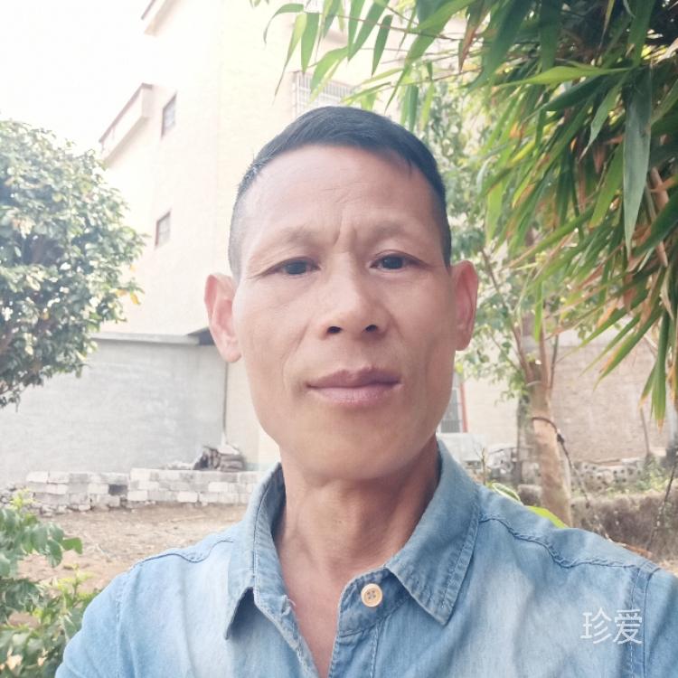 有风有雨有夕阳