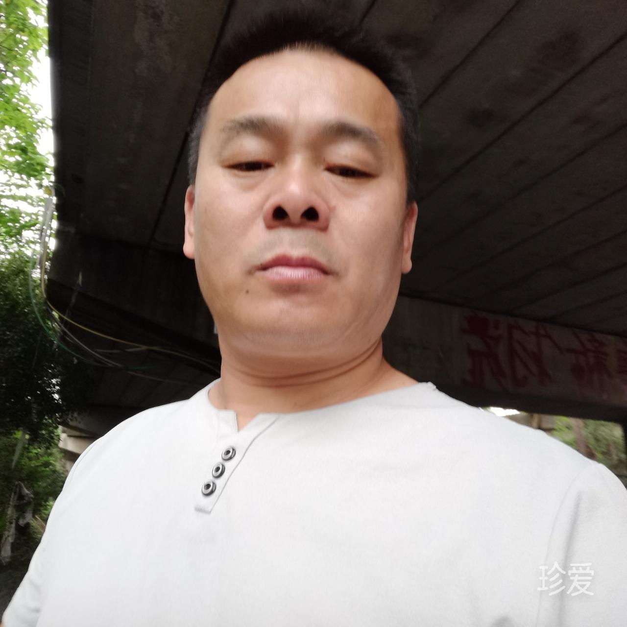 老虎