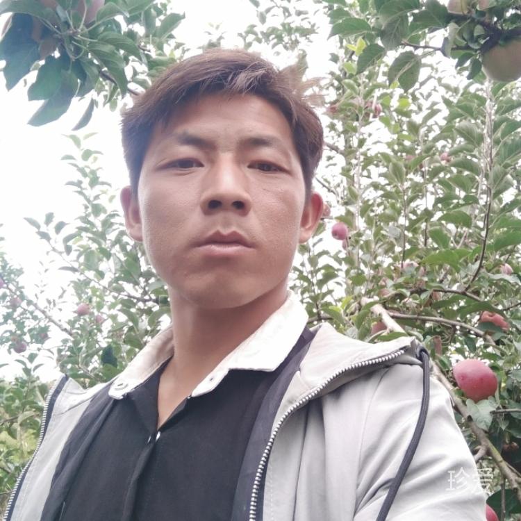 等待与你相惜