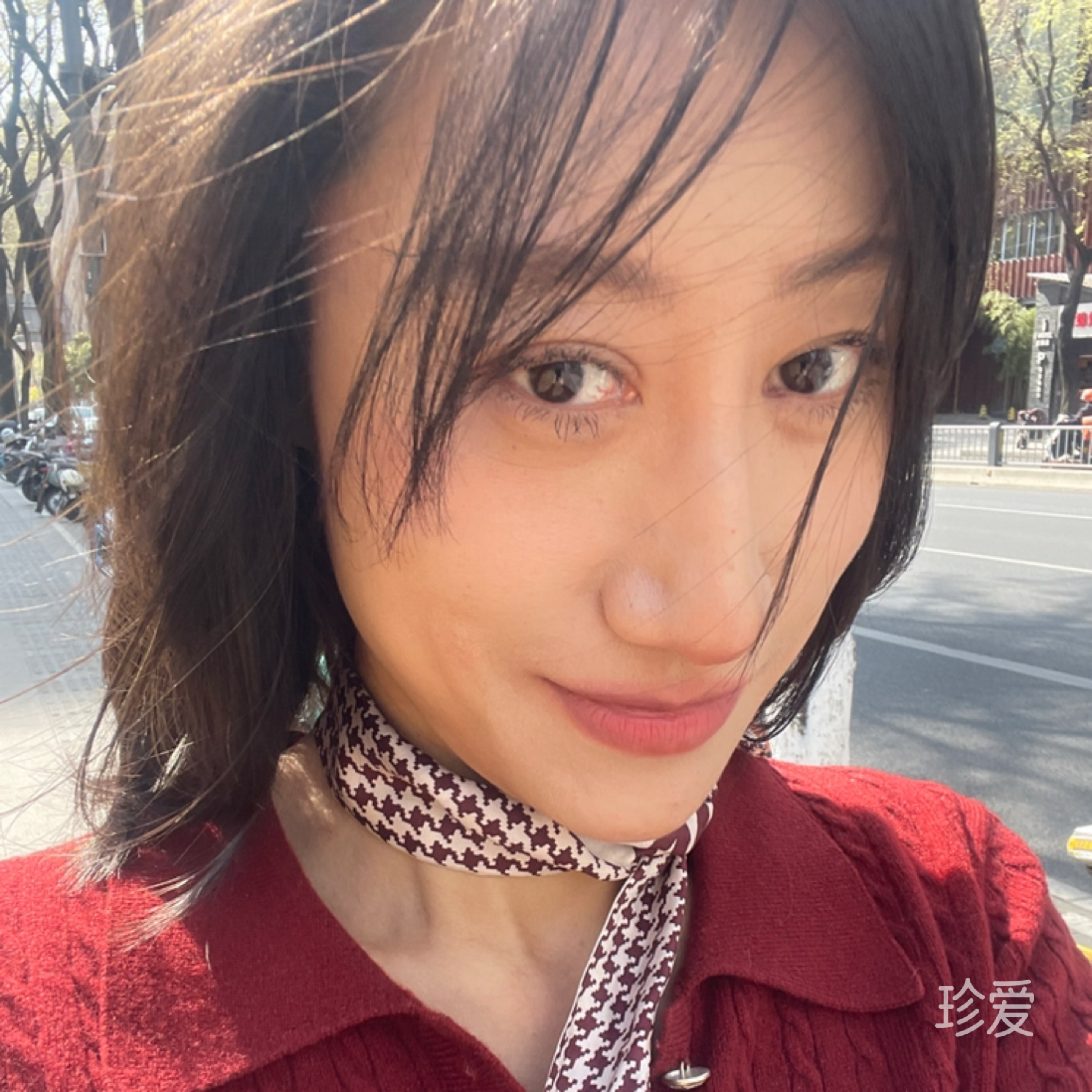 慵懒的猫