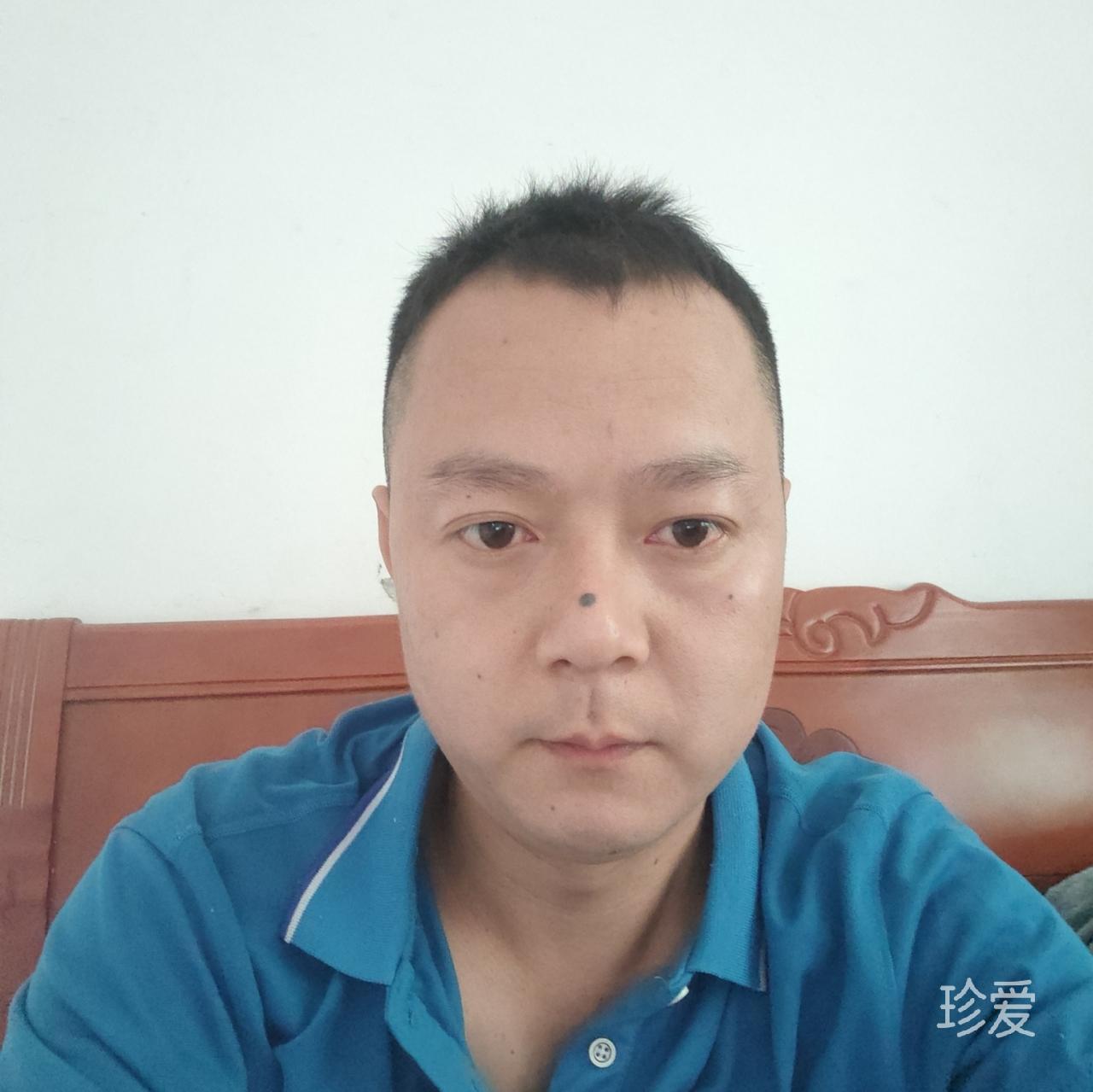 轻风落叶