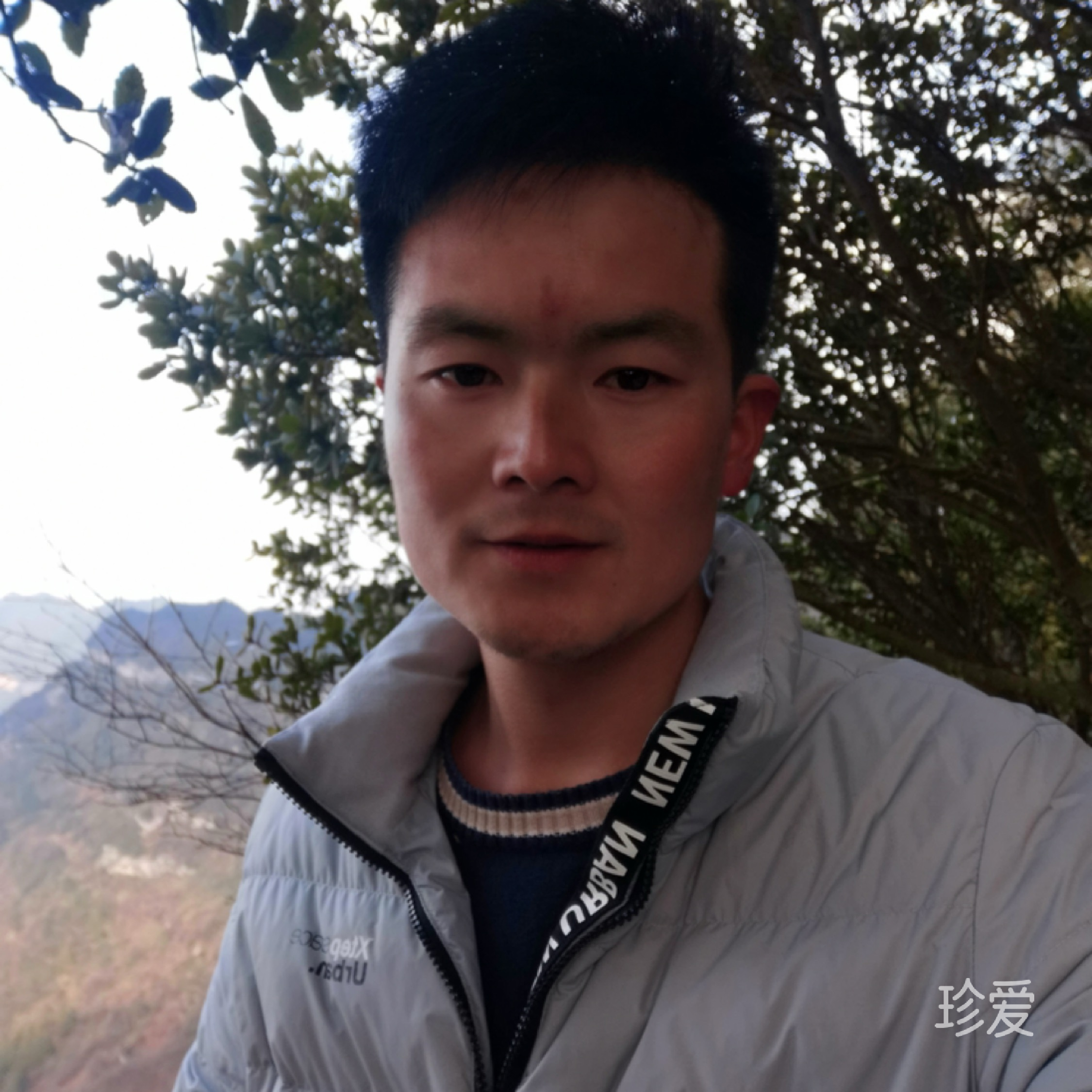 黑鹰