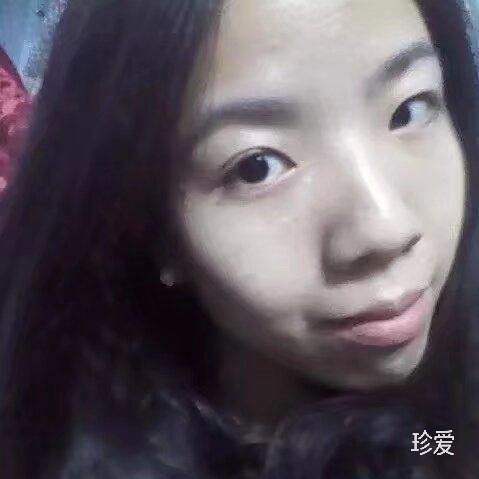 萤火虫之森