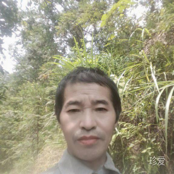 归宿平江镇