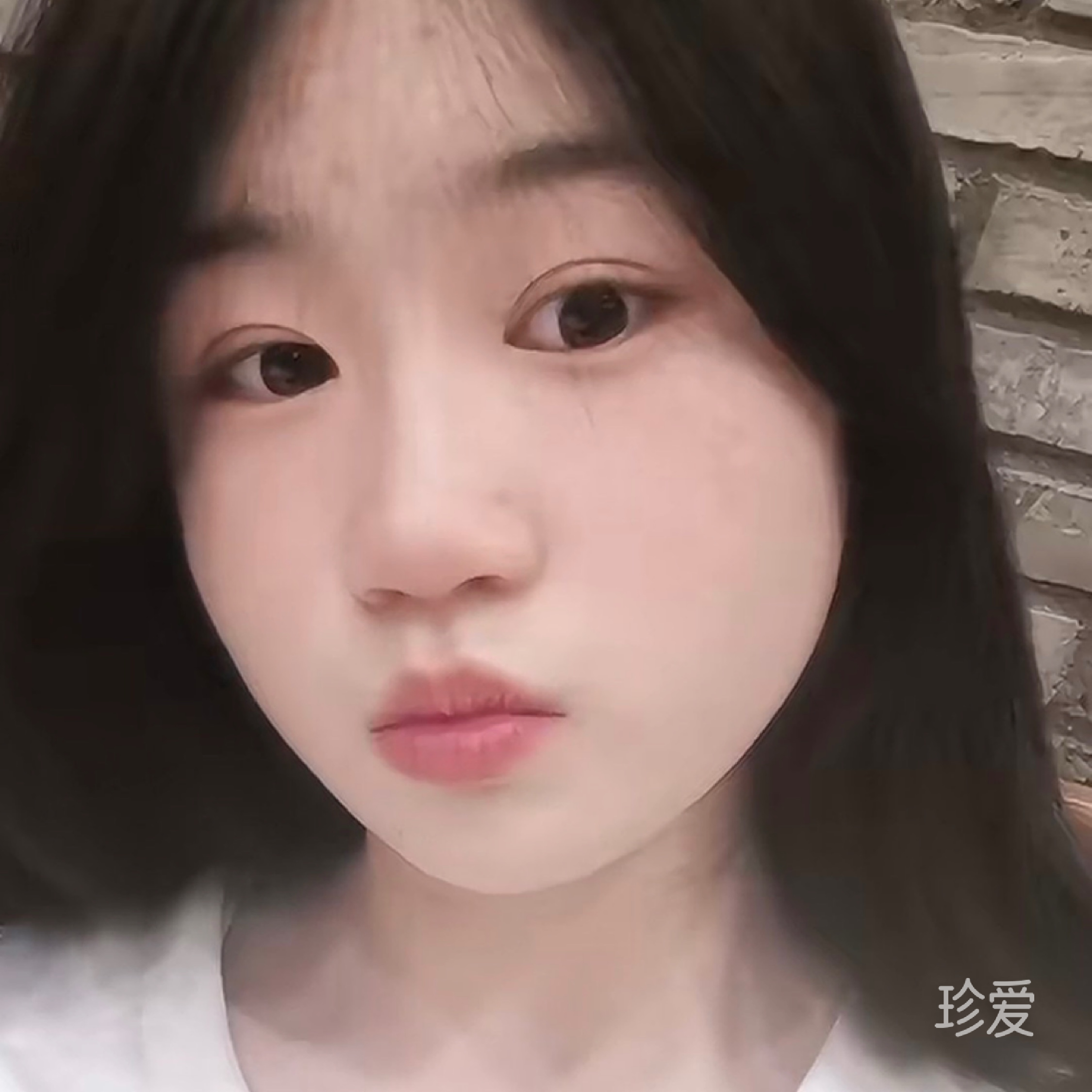 呆小呆