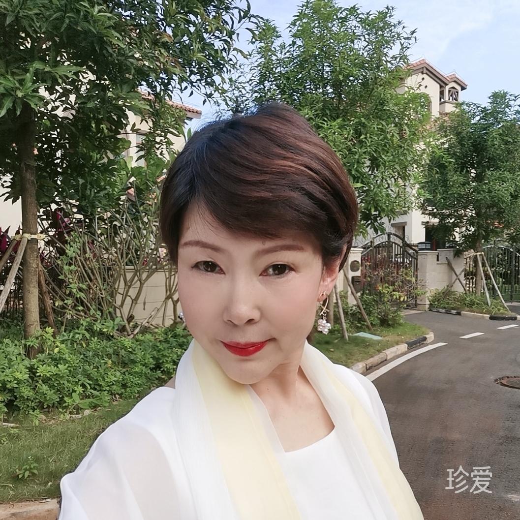 飞翔的心