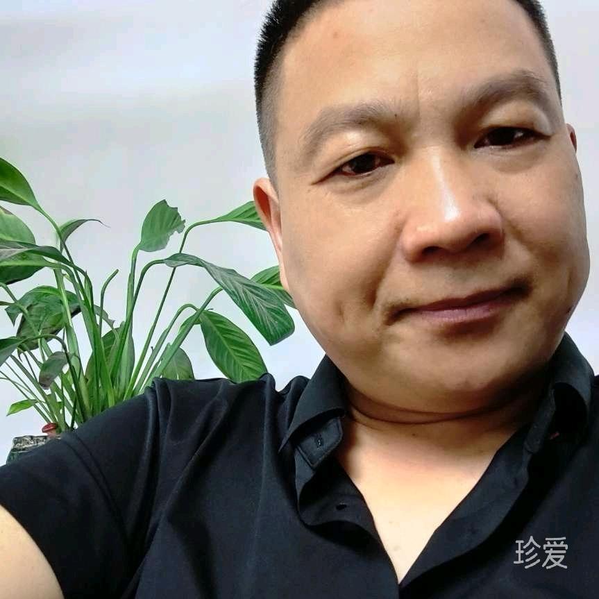 老猫