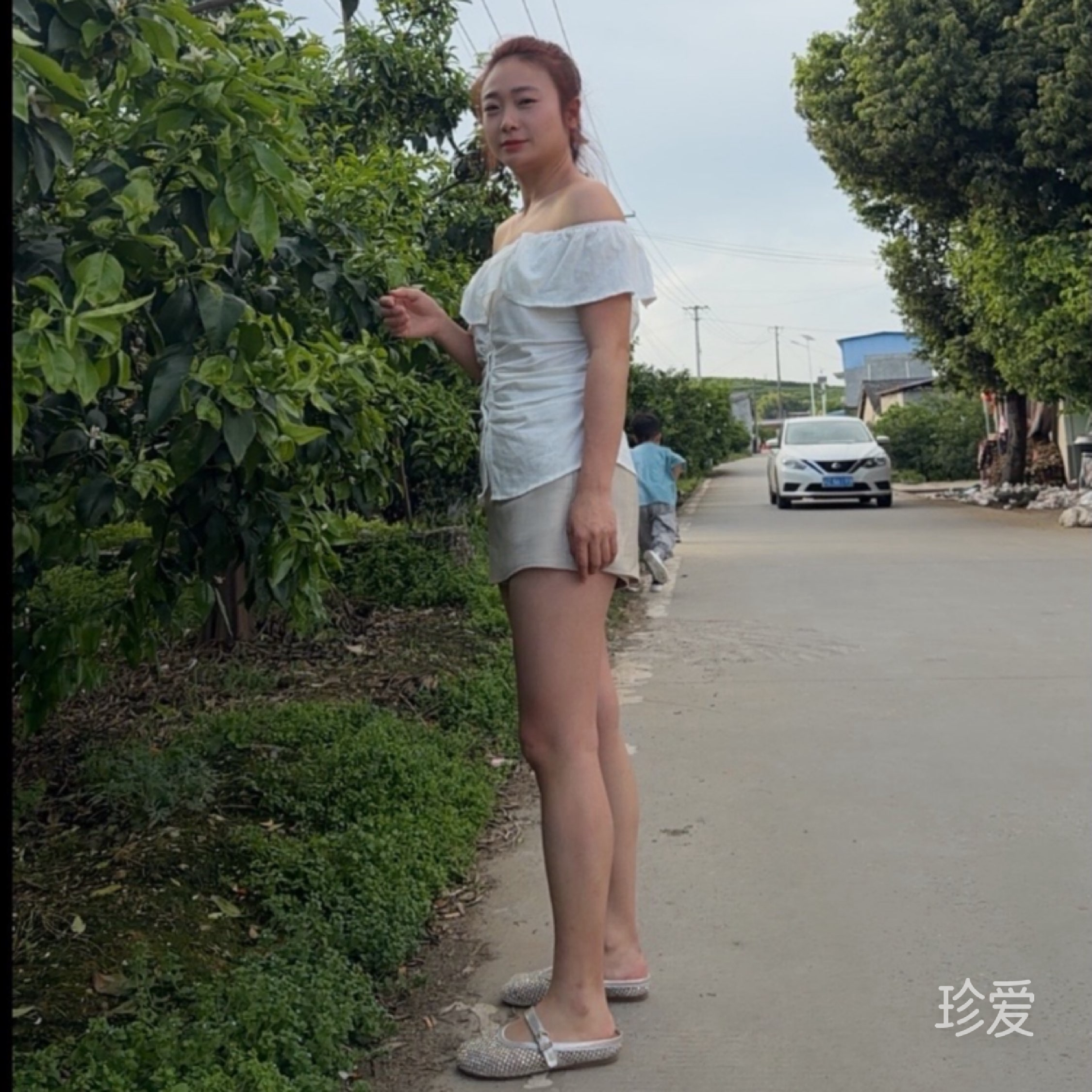 贺加贝