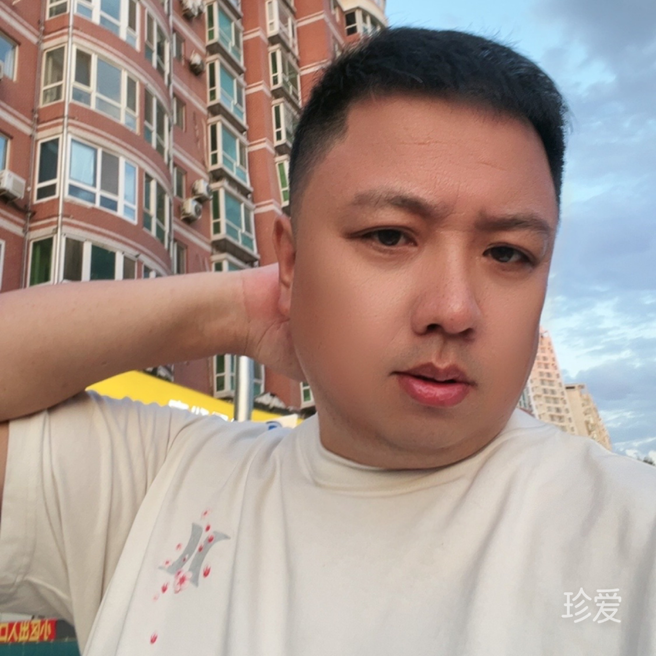 自由飞翔