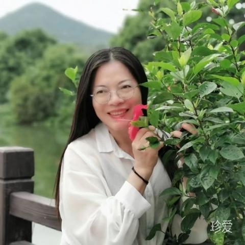 傲雪寒梅獨(dú)自香