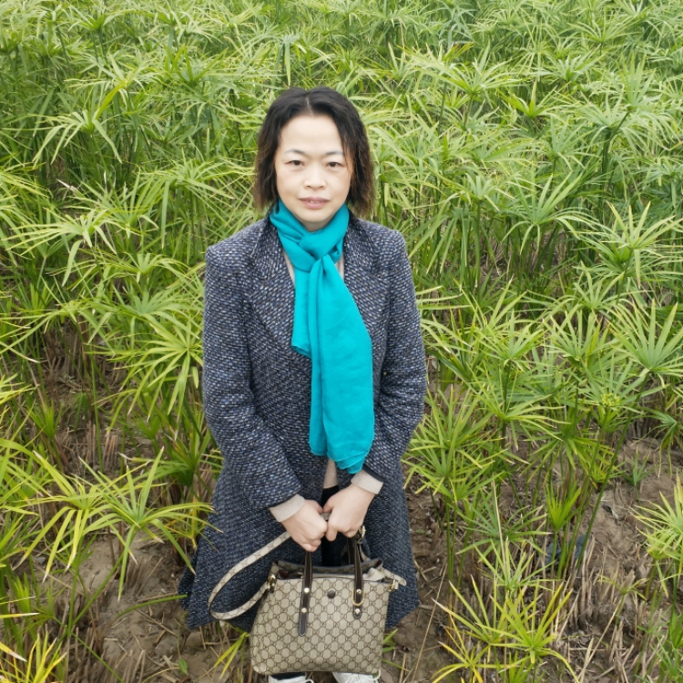 渴望一份真感情