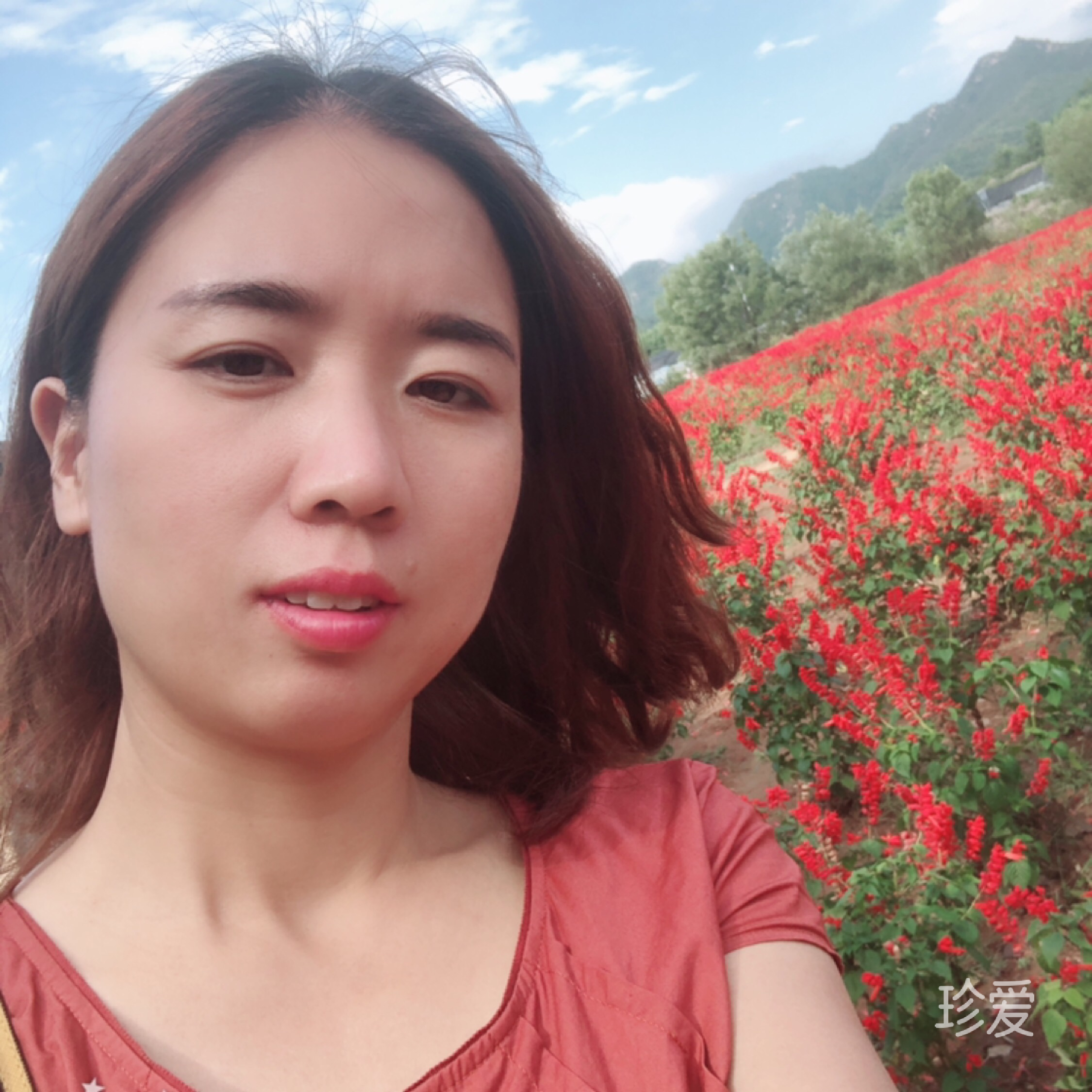 晓晓