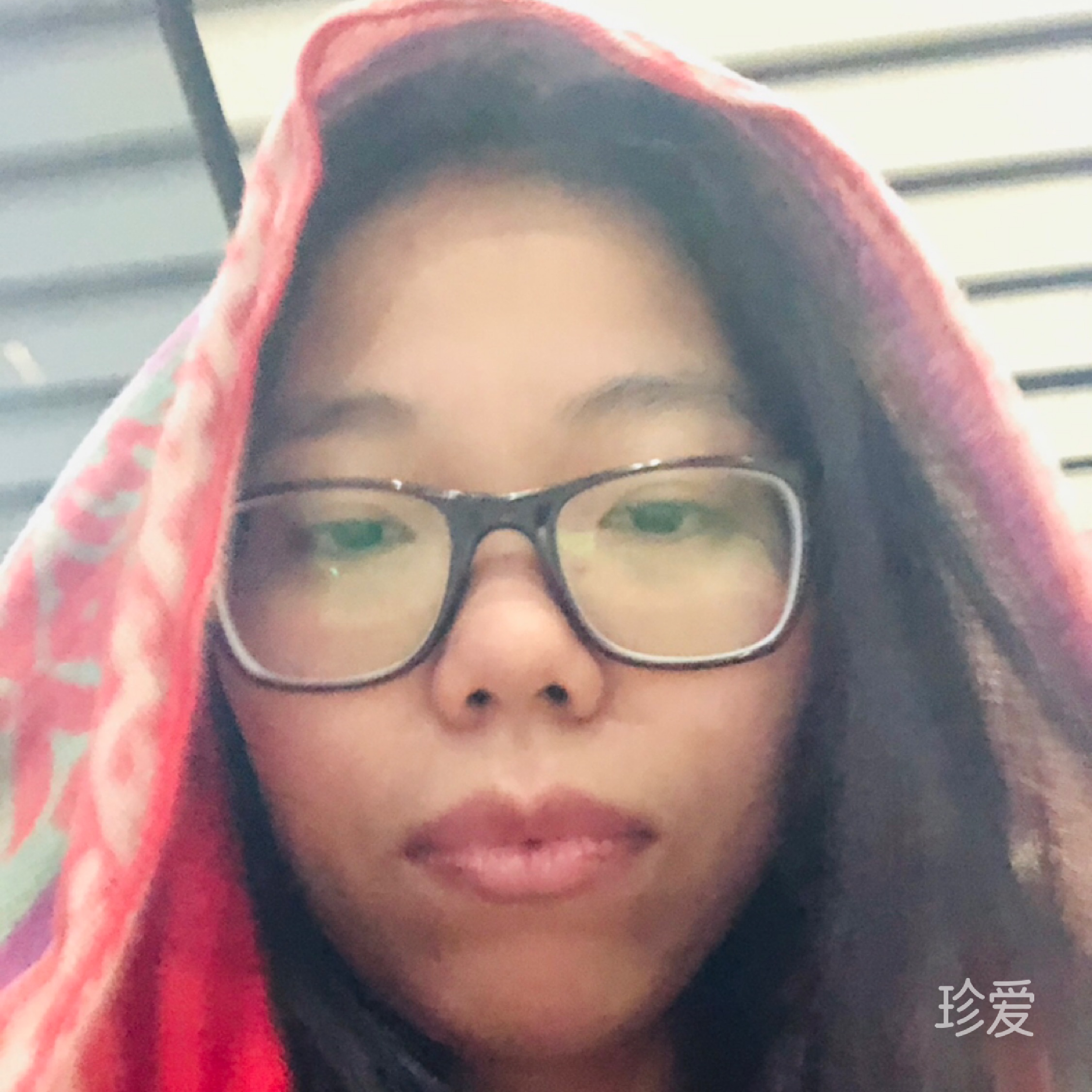 东坡先生