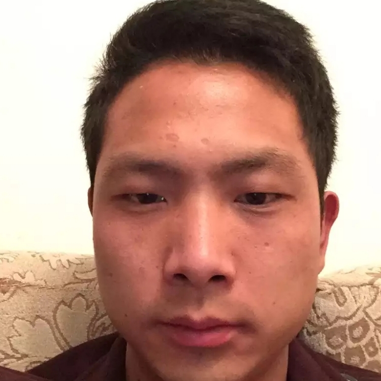 自由文化流浪者