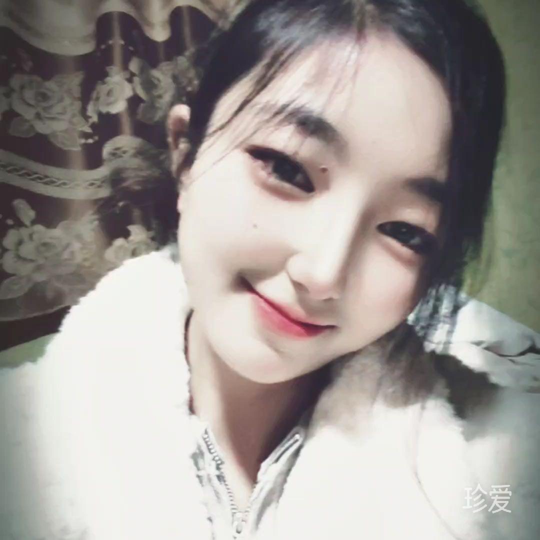 夜阑卧听风吹雨