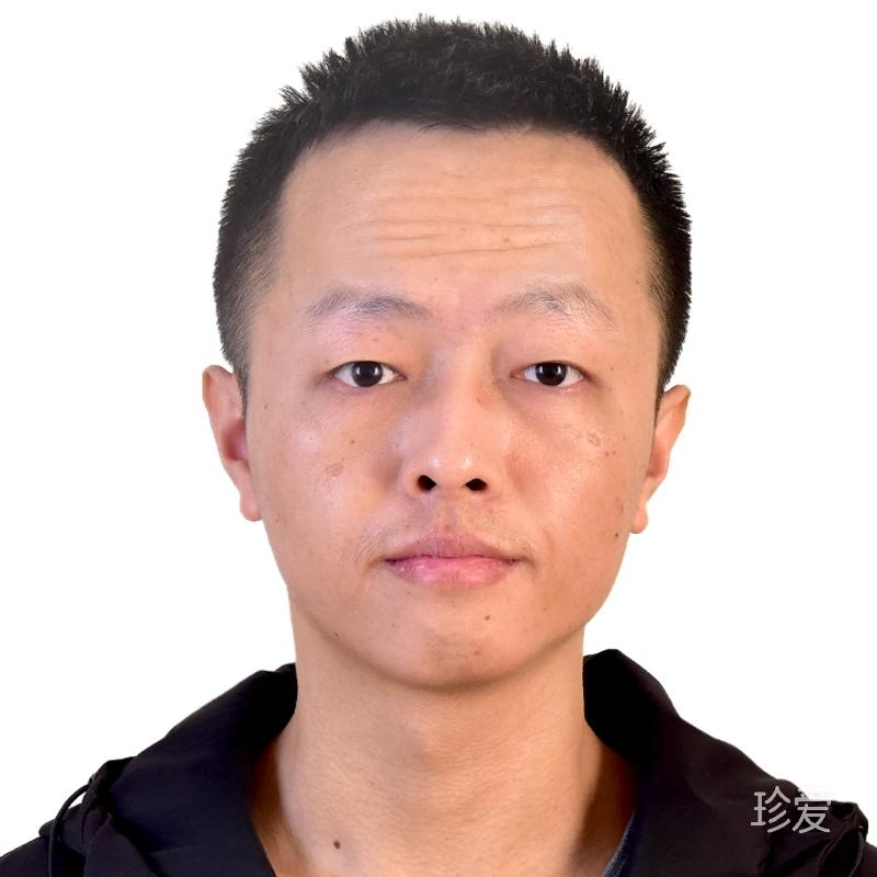 默默前行的小马驹