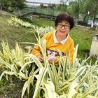 愛(ài)我的就別跑