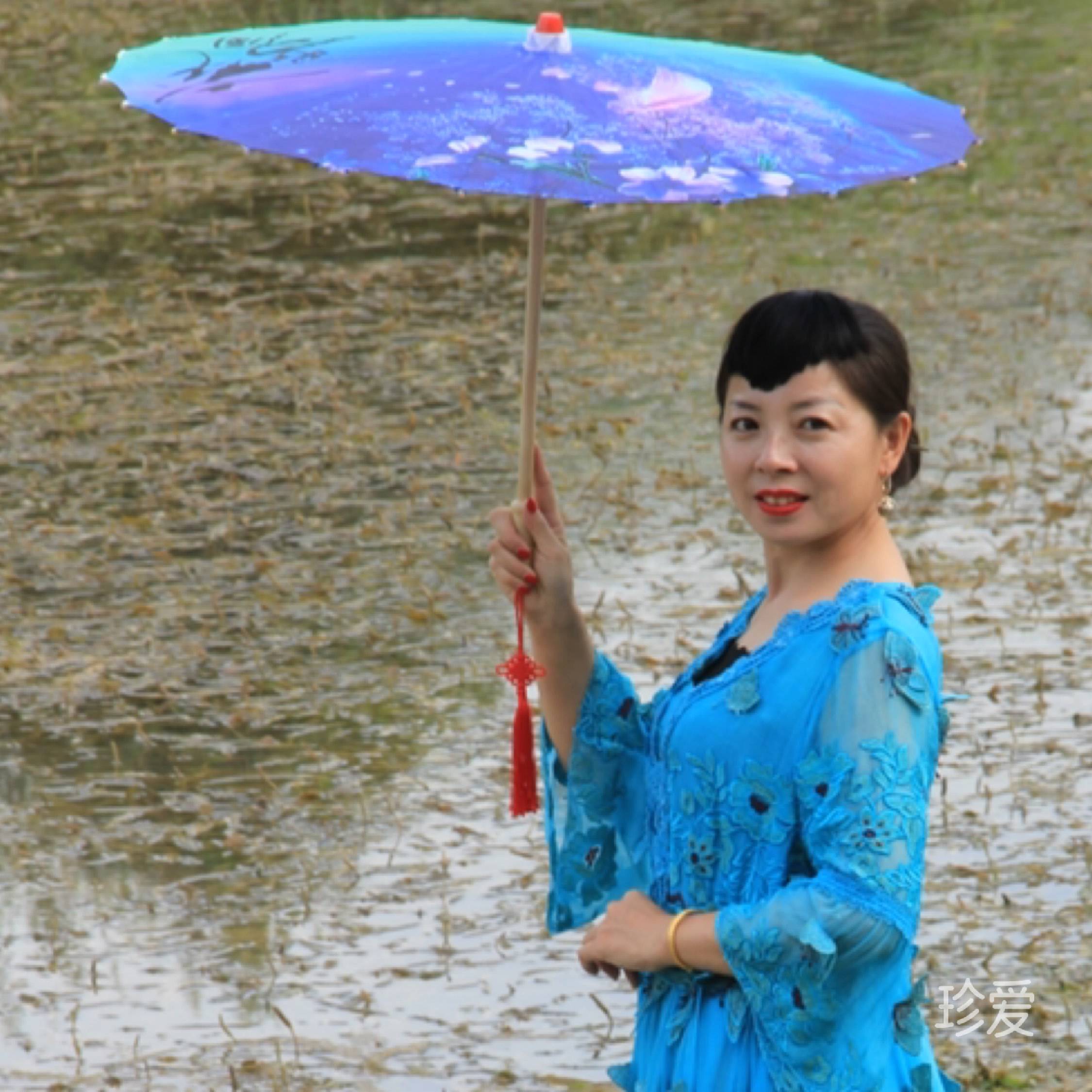 风雨中的一棵小草