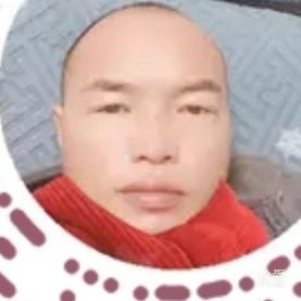 春天的陽(yáng)光