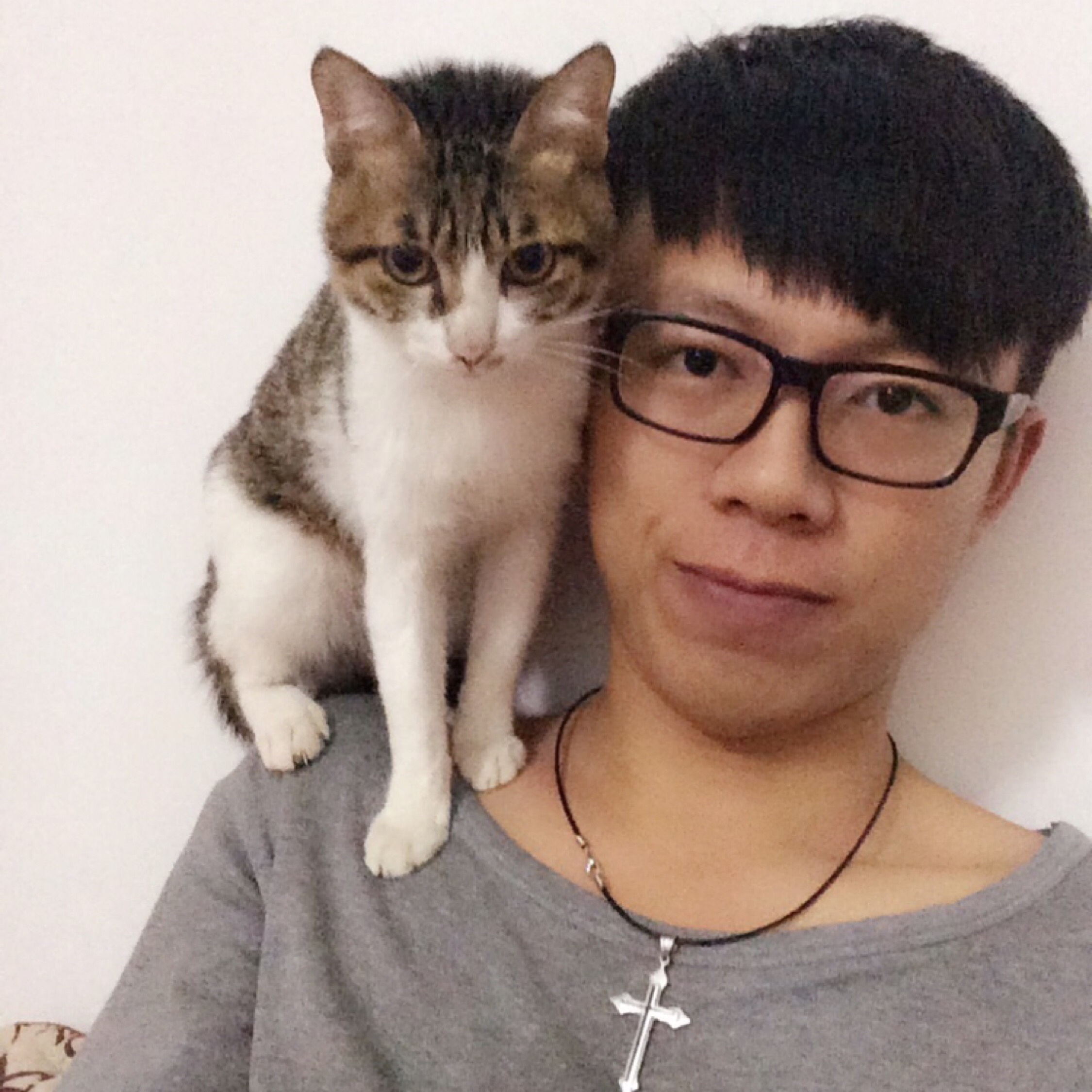 本熊不慌