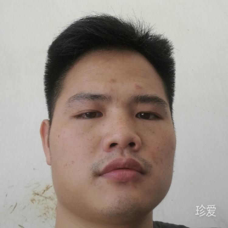 鹏