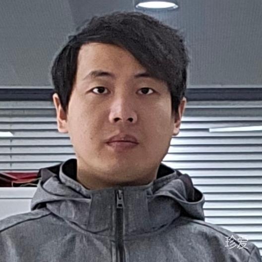 穿过树丛的阳光