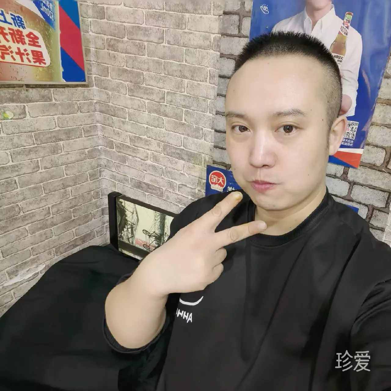 靠岸的浪子
