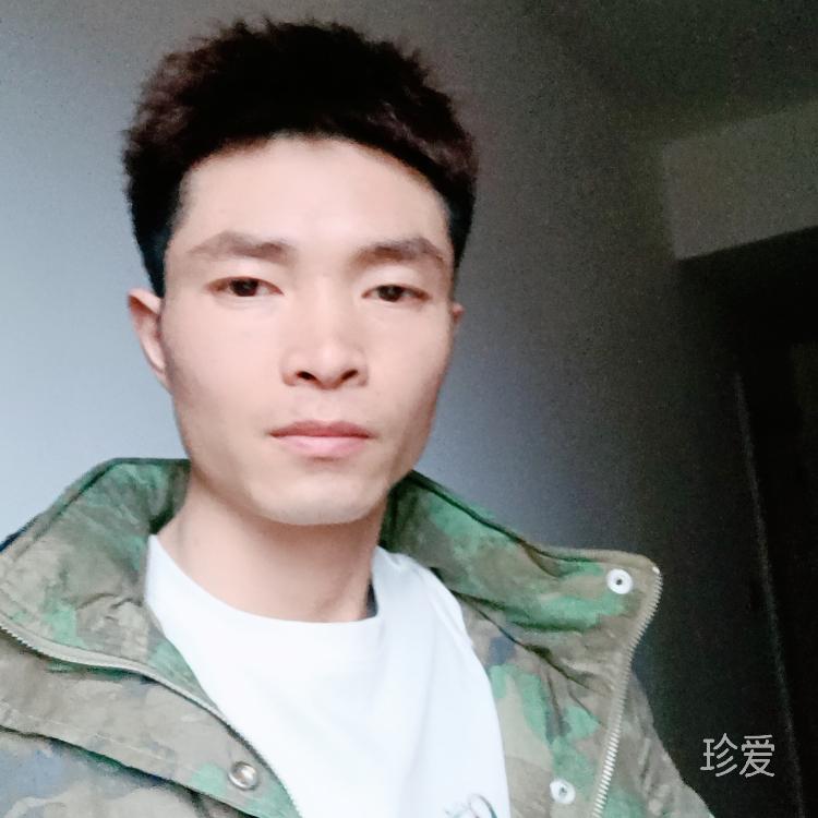 去看動(dòng)tai呀