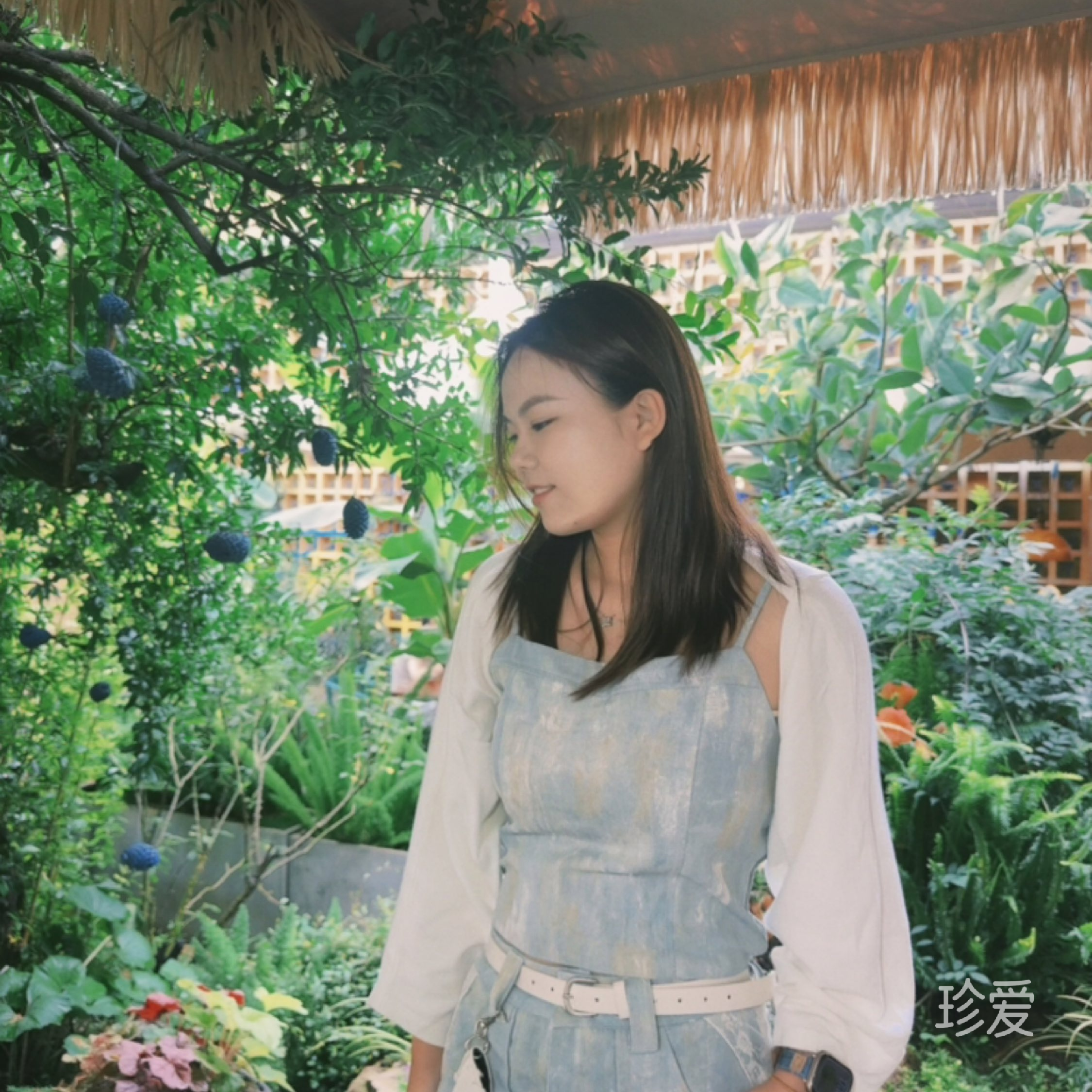 板邓