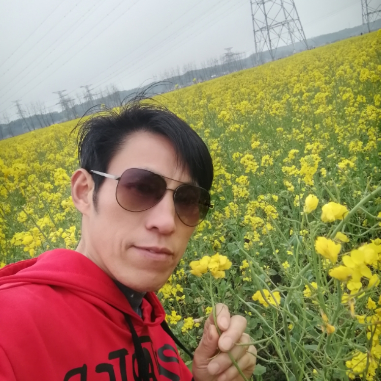 左岸憶惜度流年