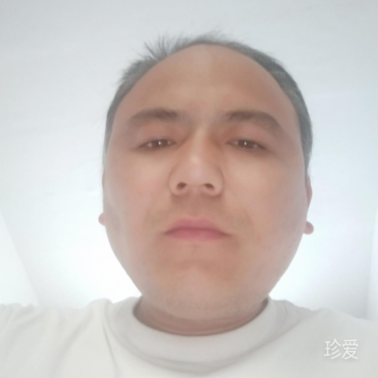 森林狼