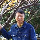 雨落傾城夏未涼