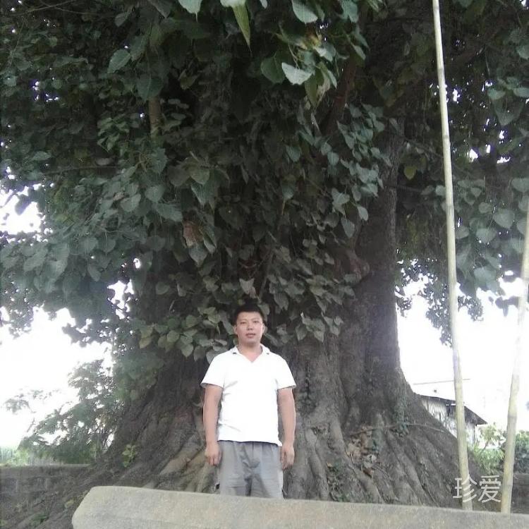 穿過陽光的風(fēng)