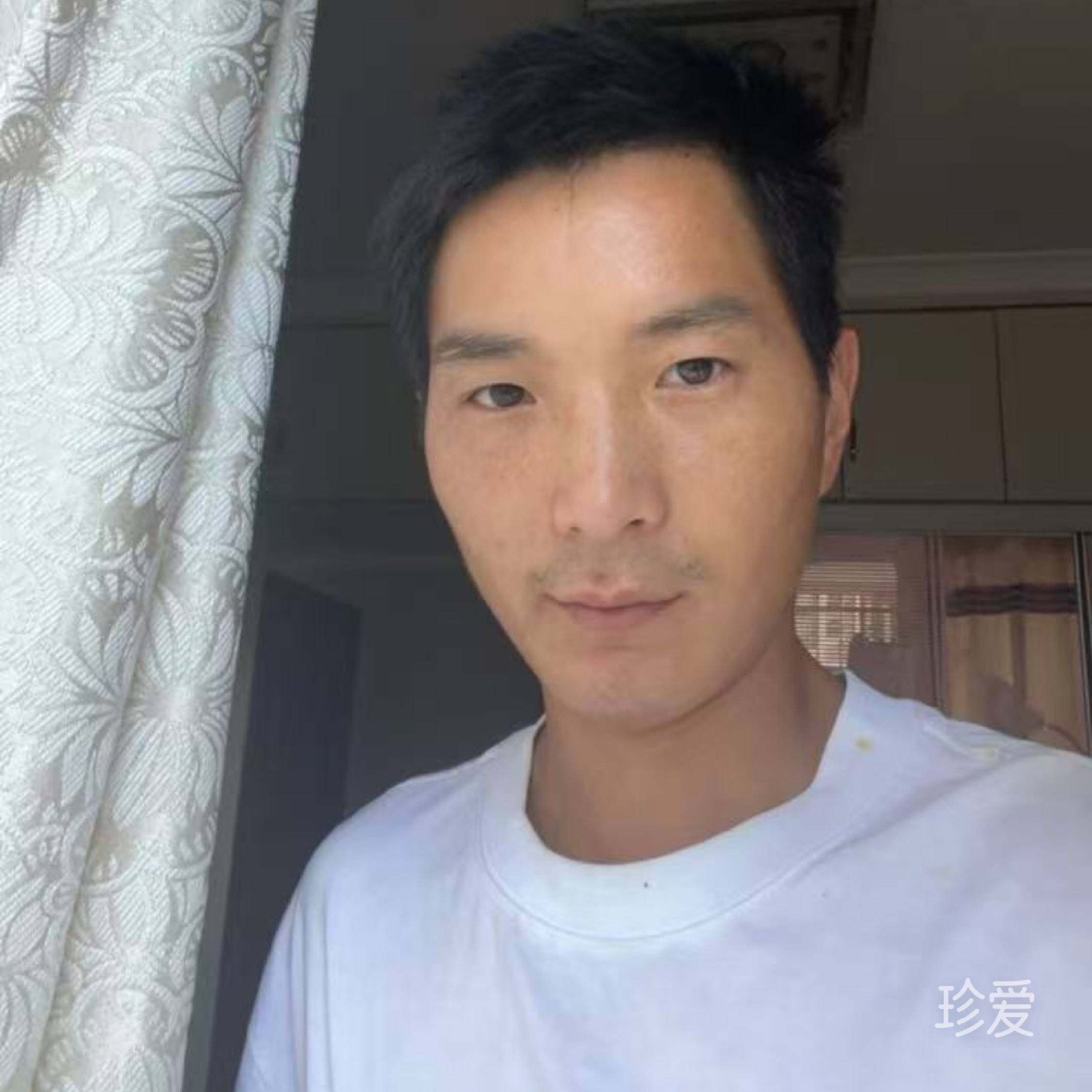 谁念西风独自凉