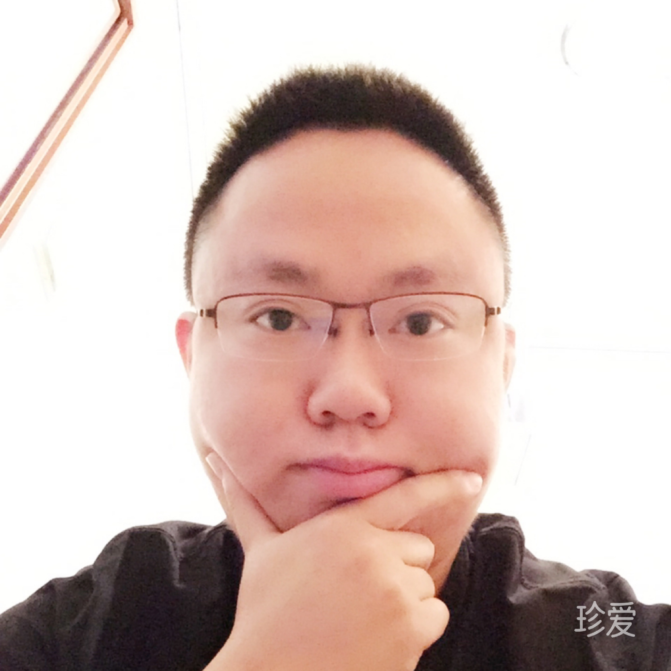 爱吃鱼的猫