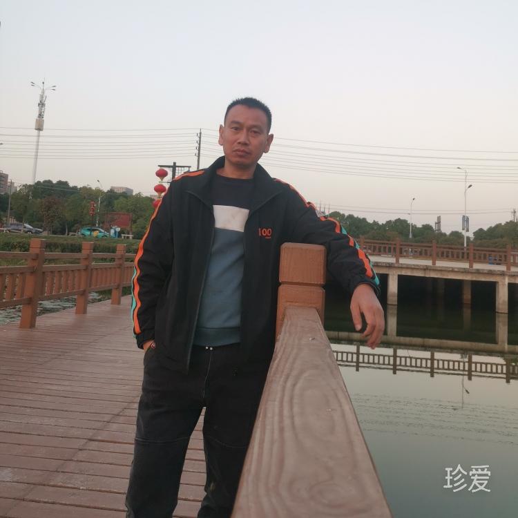 鹏哥