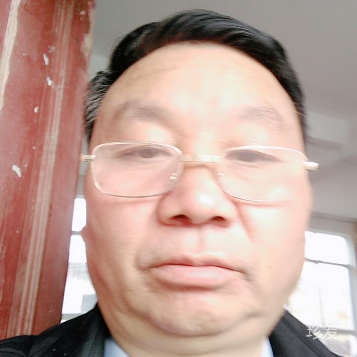 秋風不懂落葉情