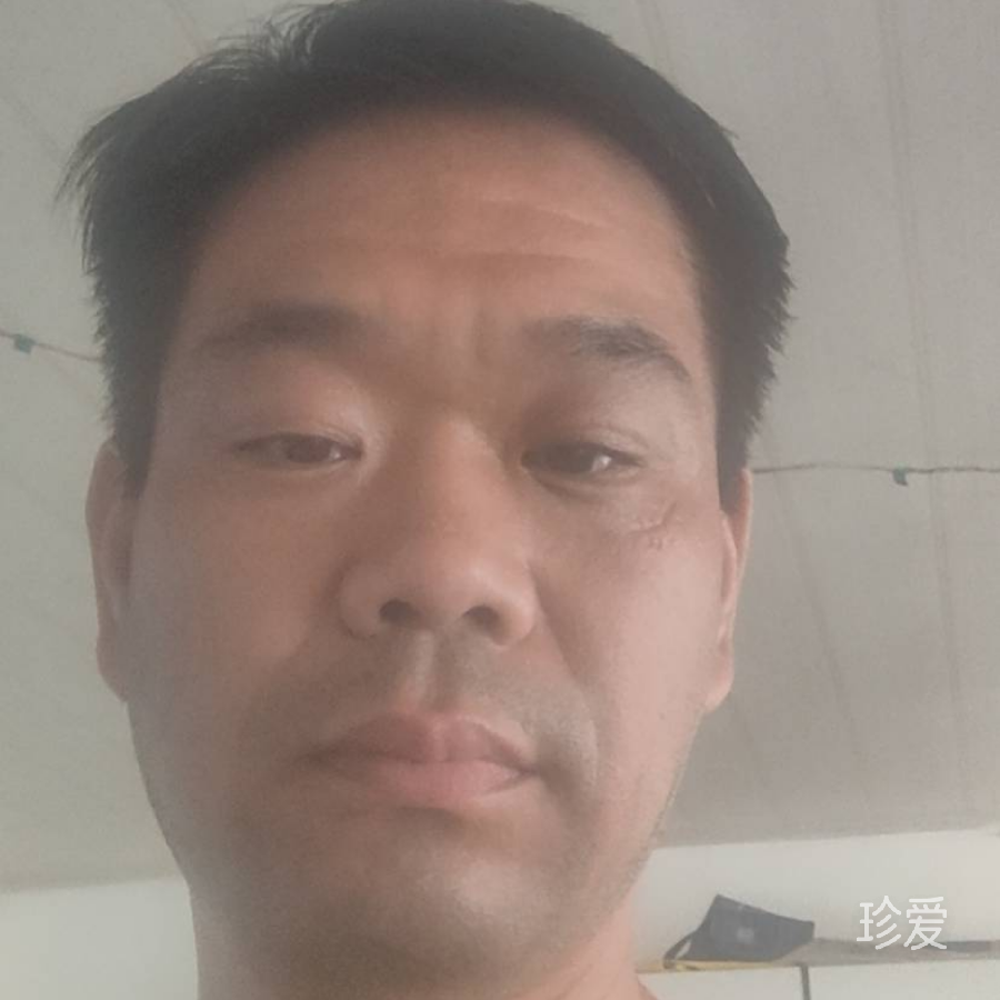 落叶为谁枯