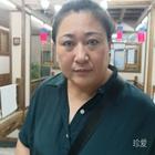紫色三葉草