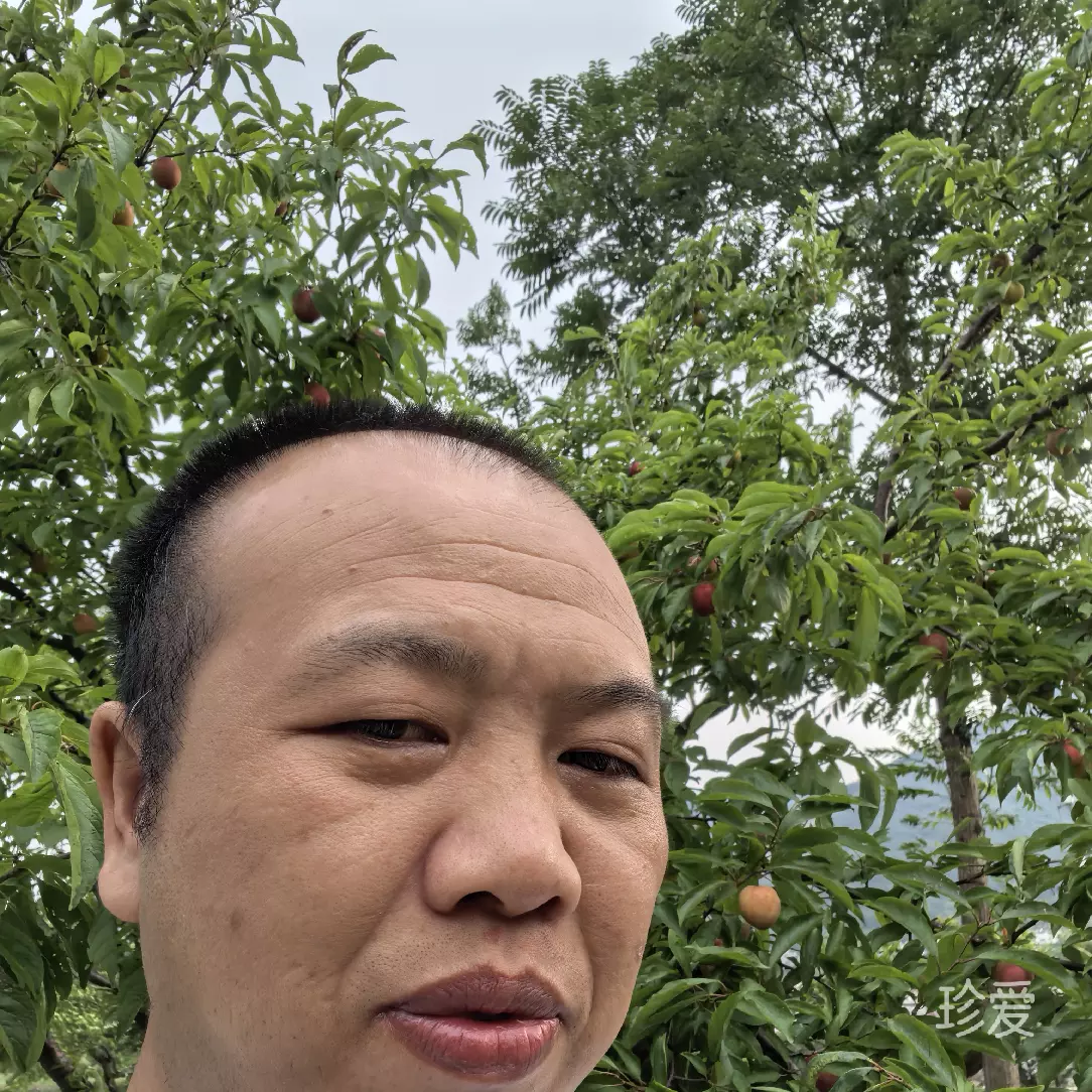 冯勇