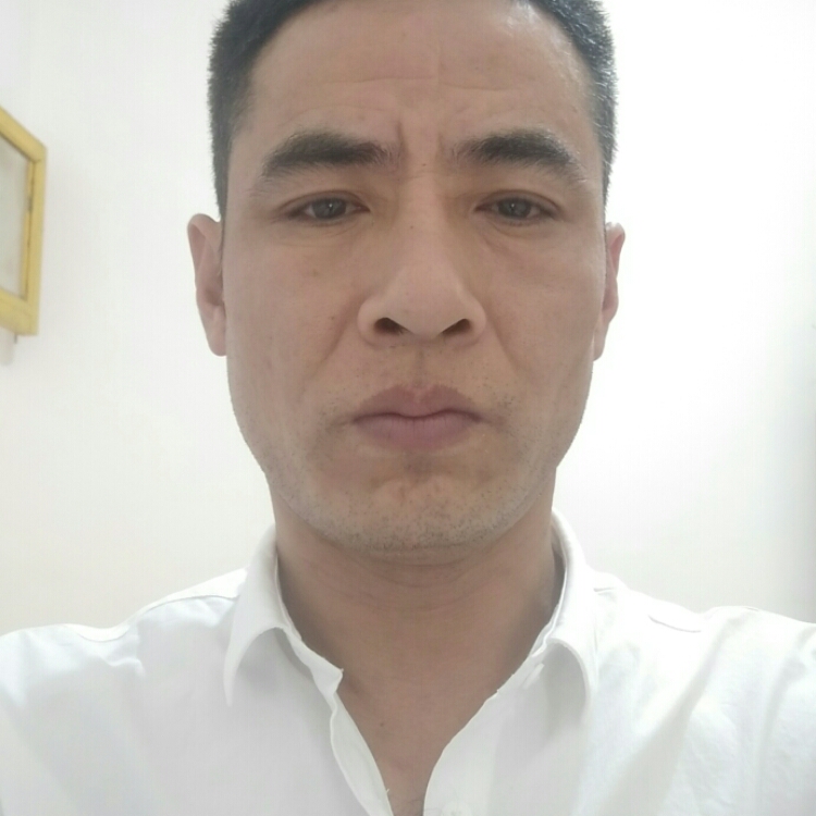 堅(jiān)強(qiáng)的蝸牛