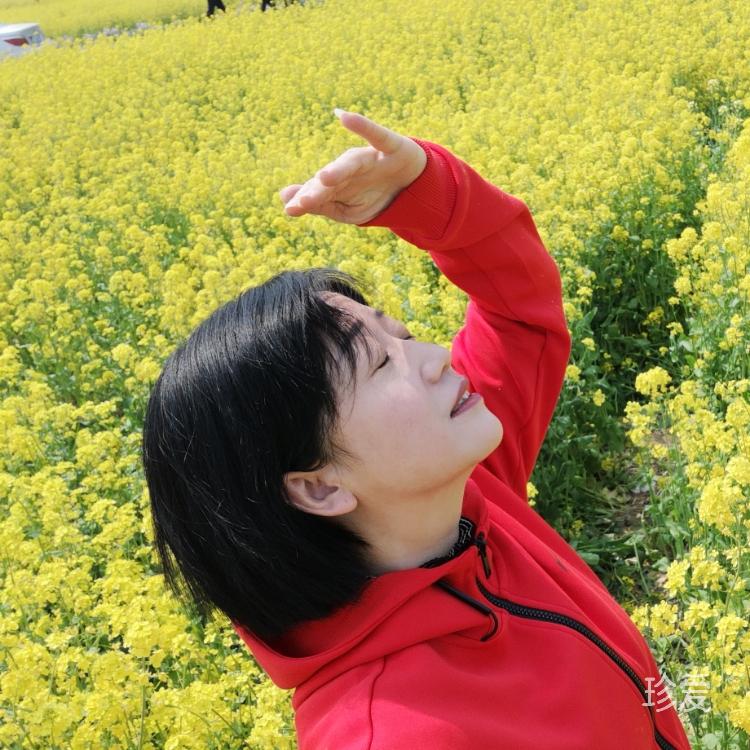 一帆风顺