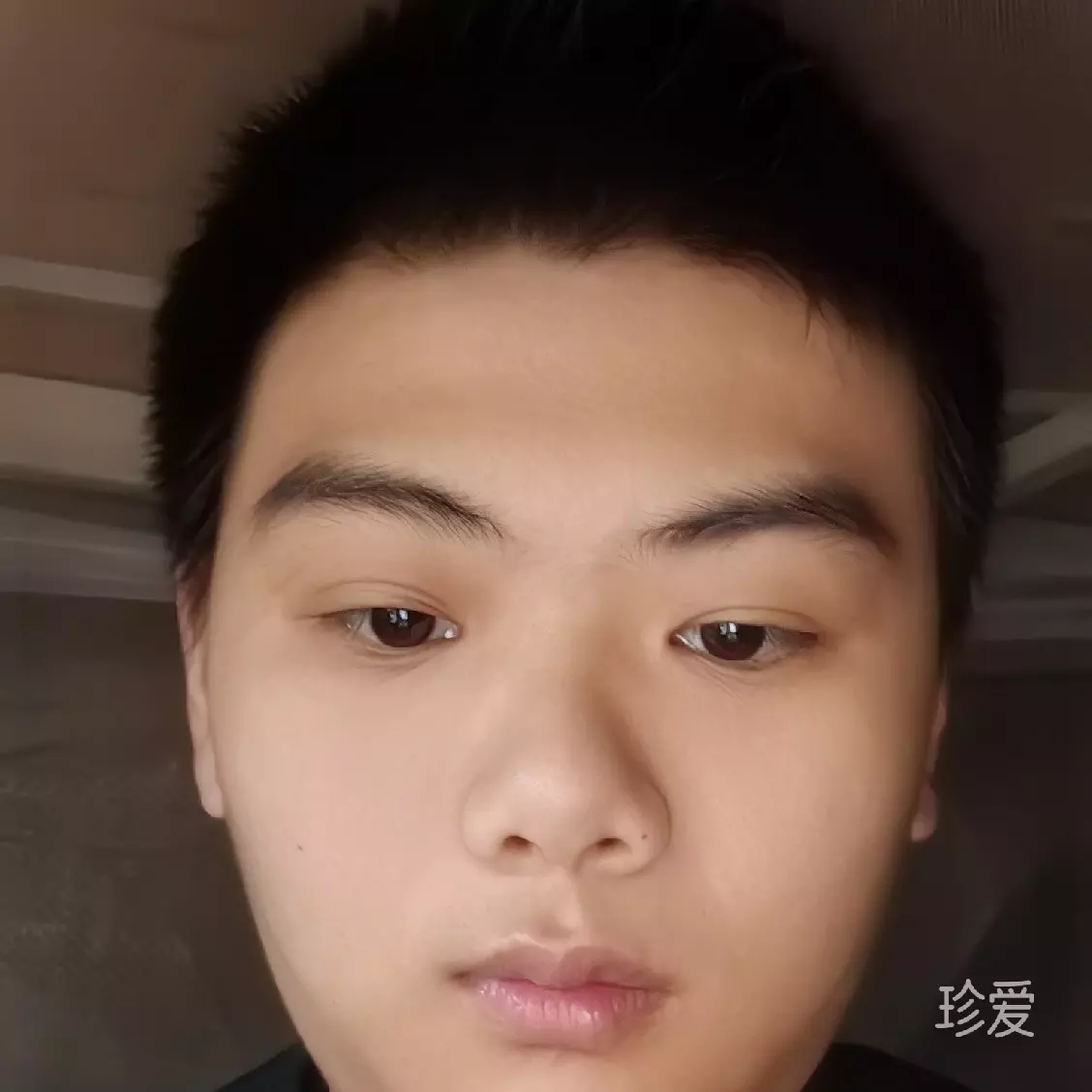 左心房的风景