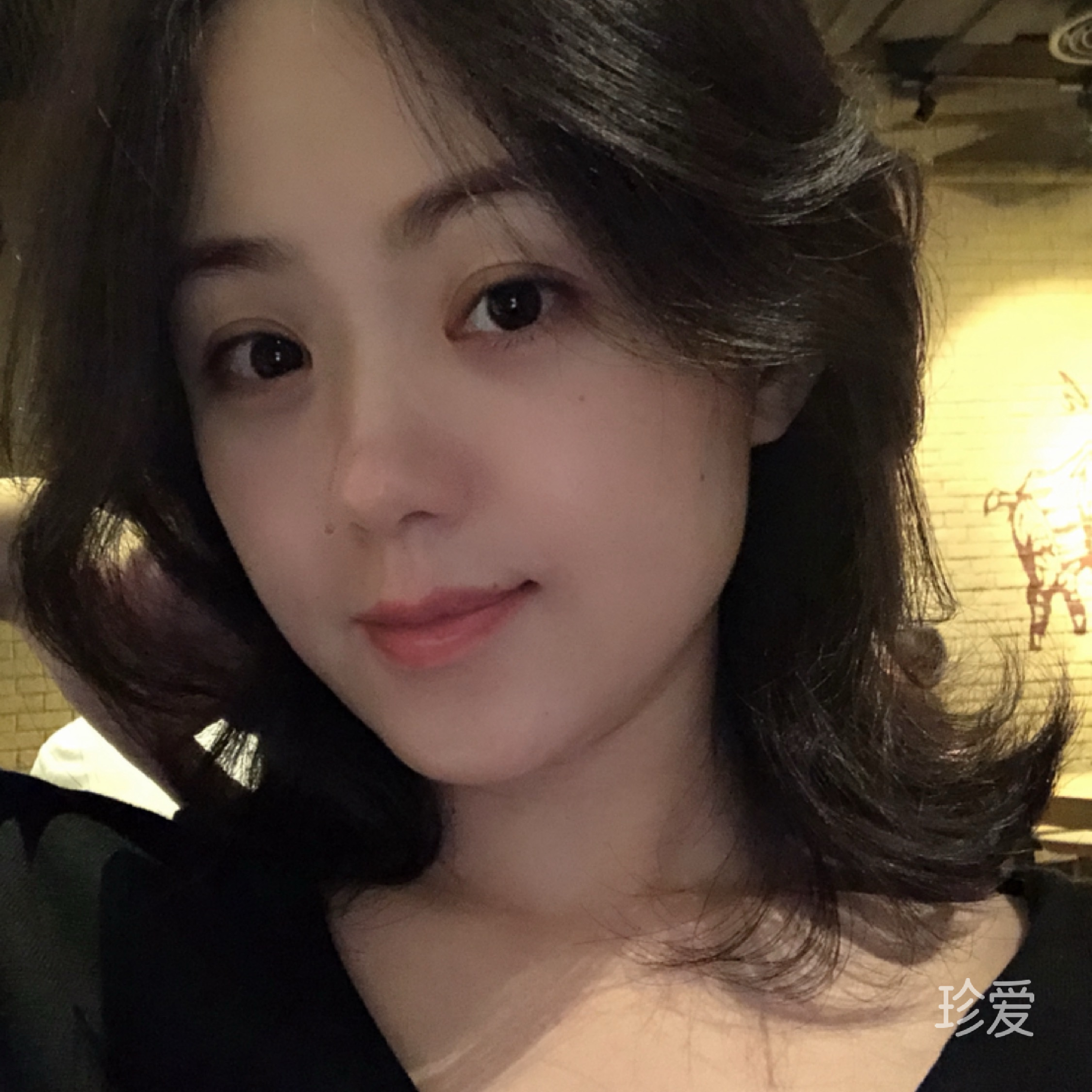 龙猫