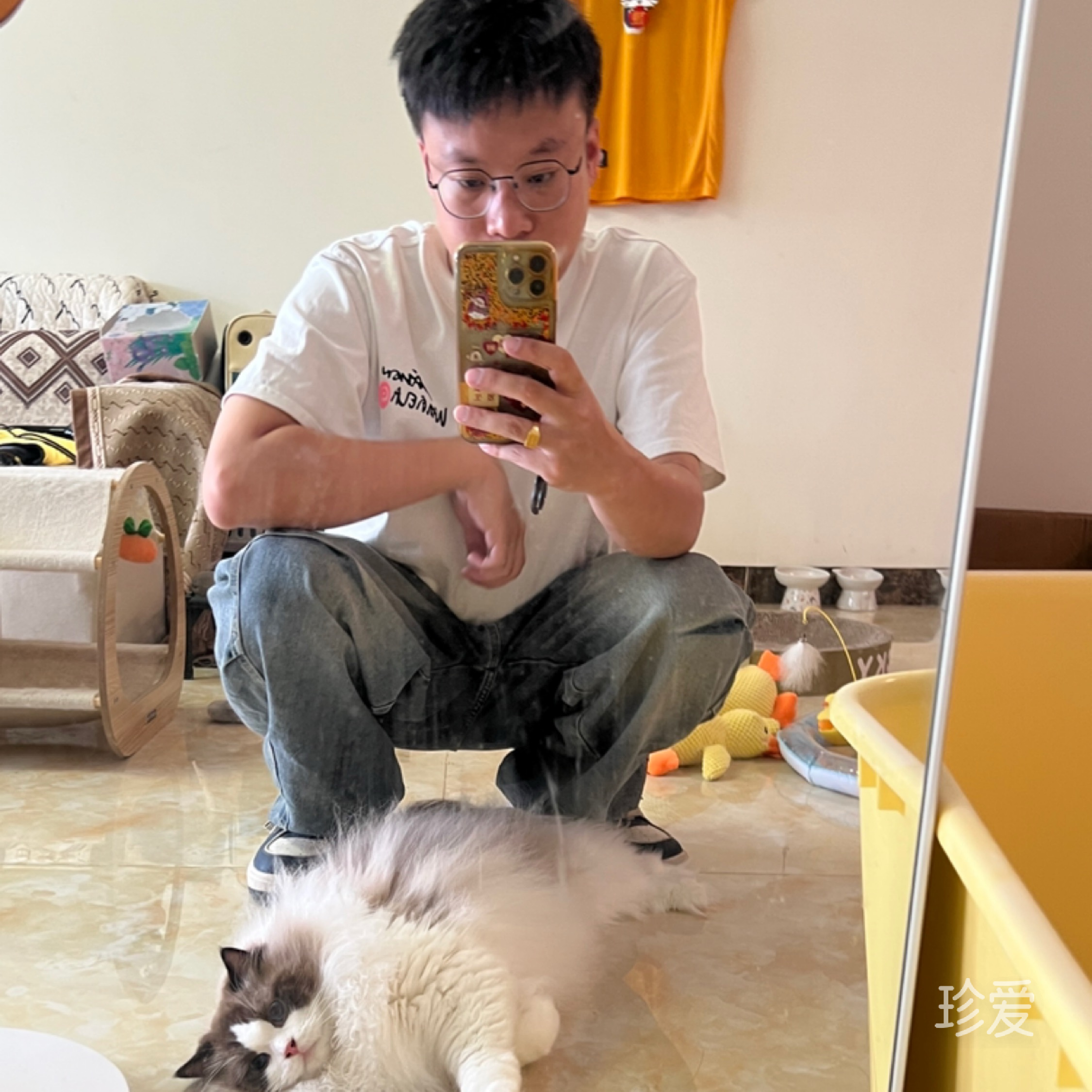 蛋黄不吃蛋黄
