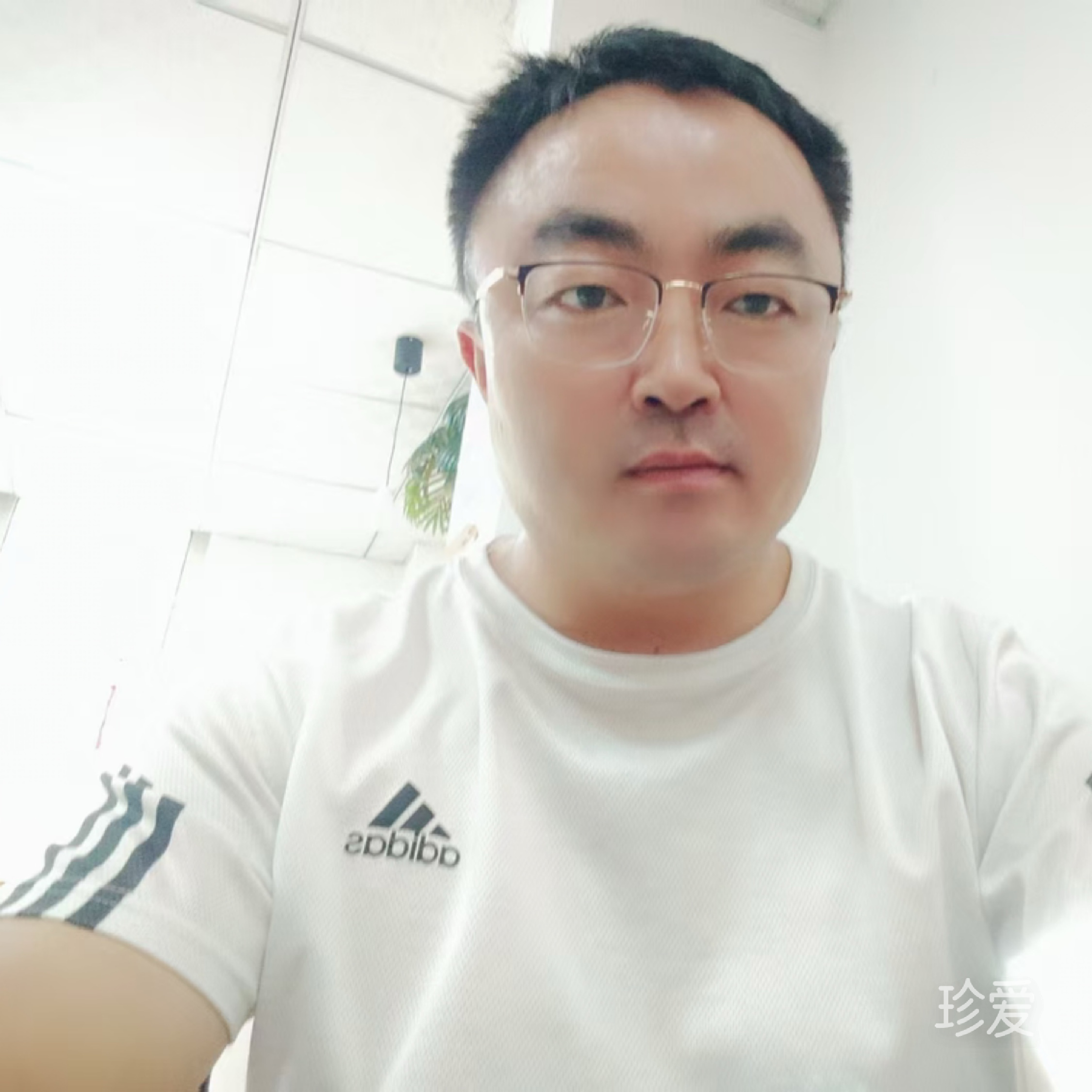 追风向晴野