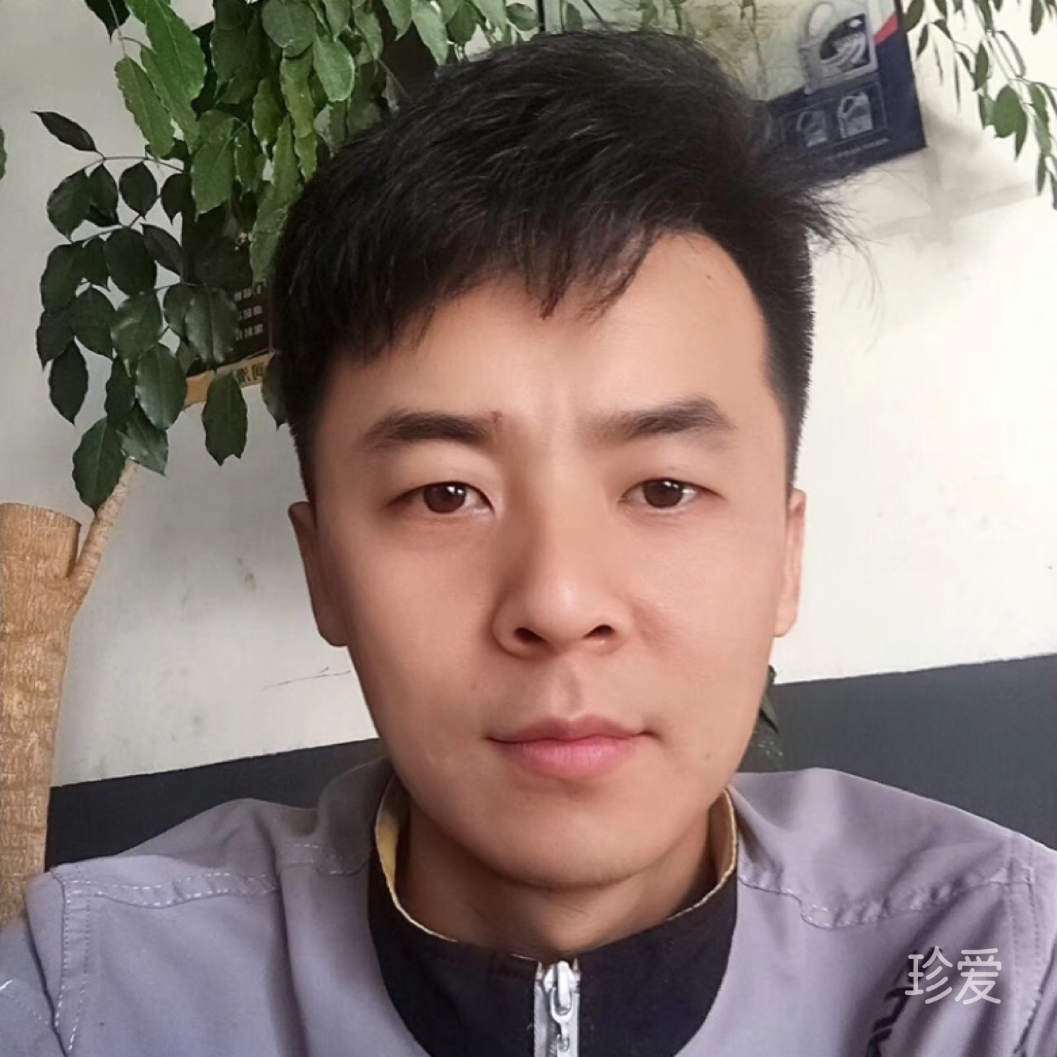 禹禹