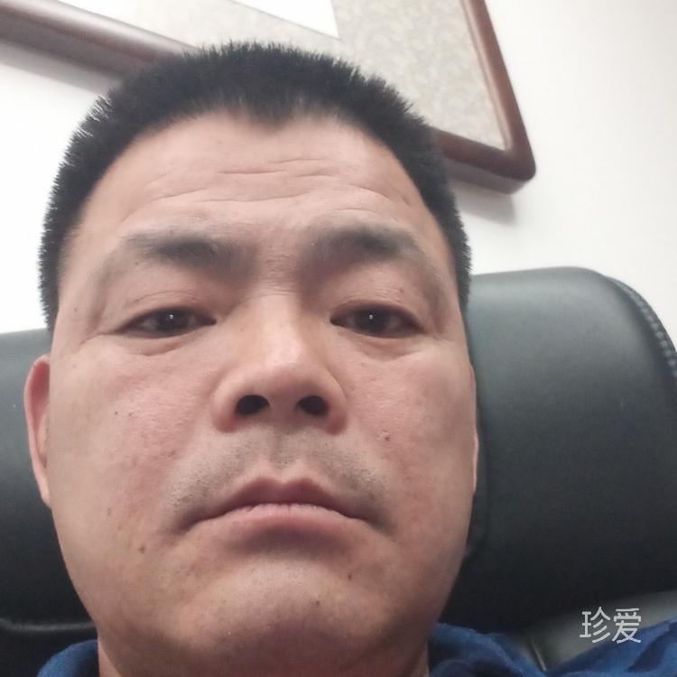 远方的鹰
