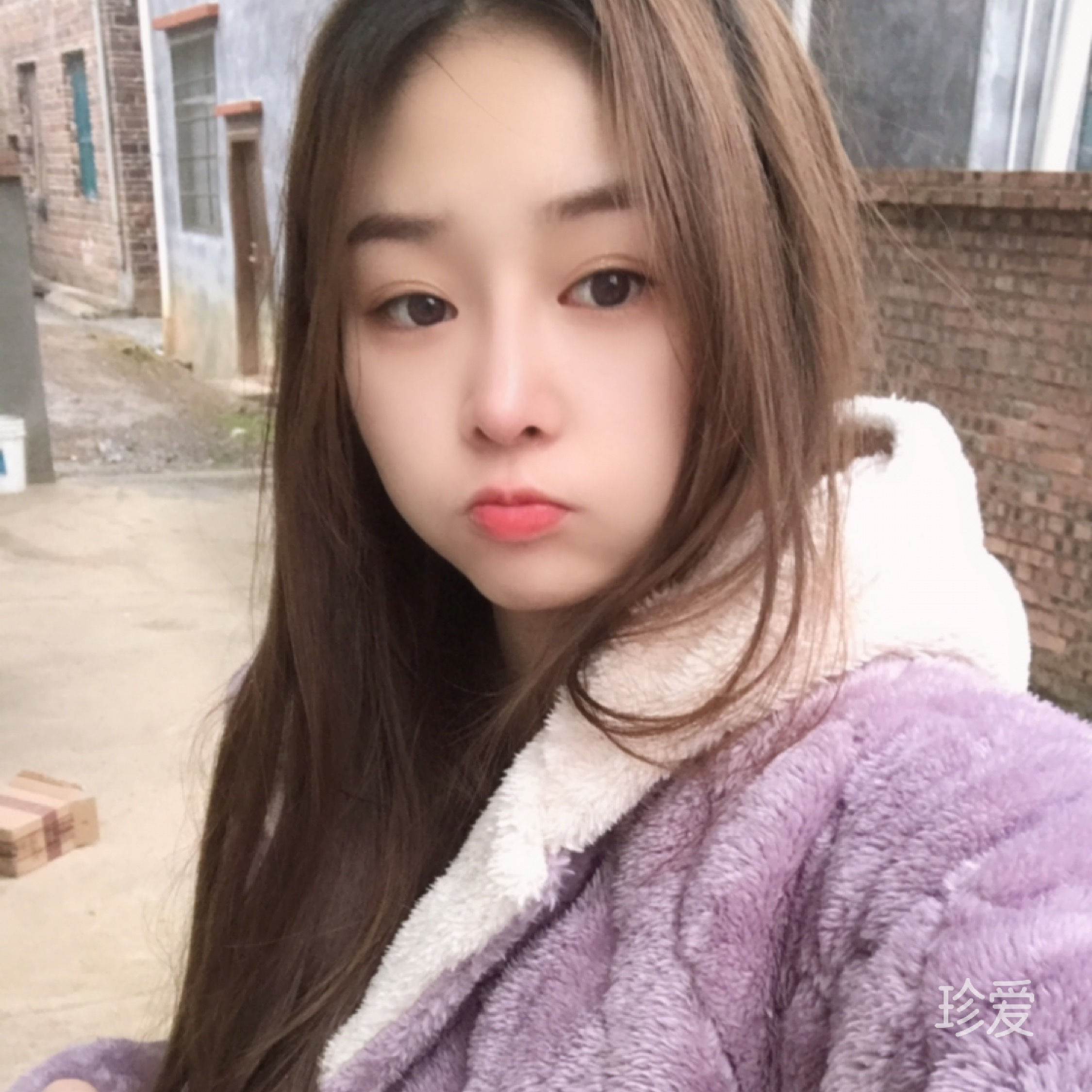 胡胡