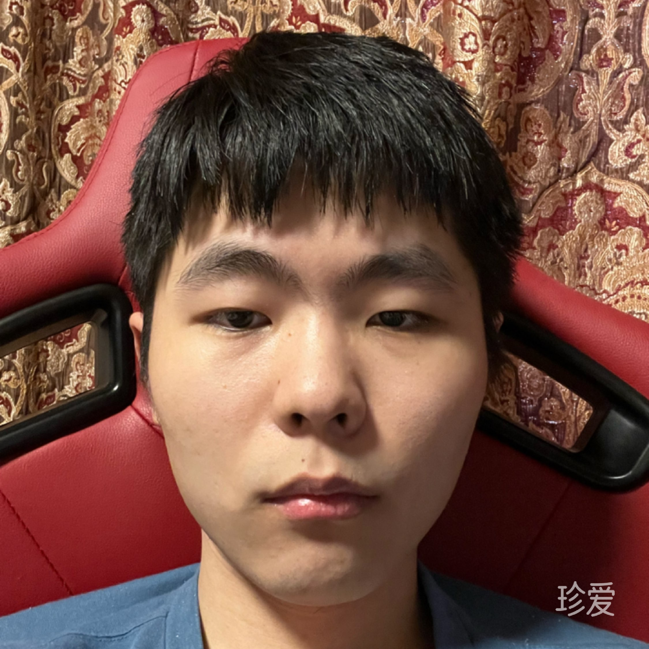 紫心銅銹單點花